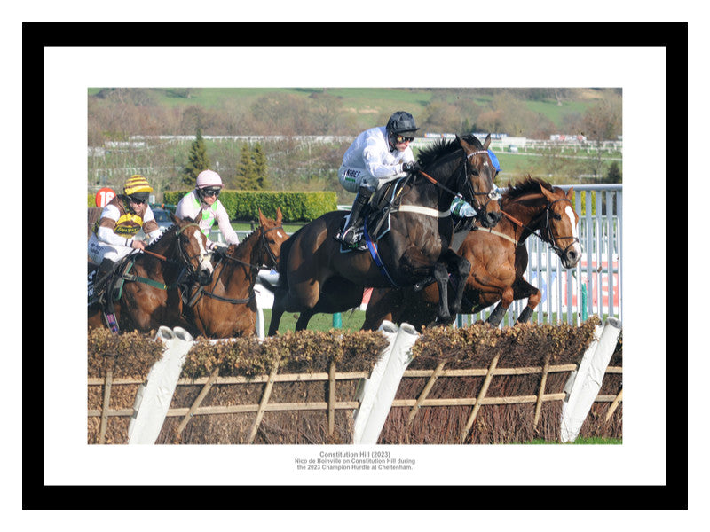 Constitution Hill 2023 Cheltenham Champion Hurdle Horse Racing Photo Memorabilia