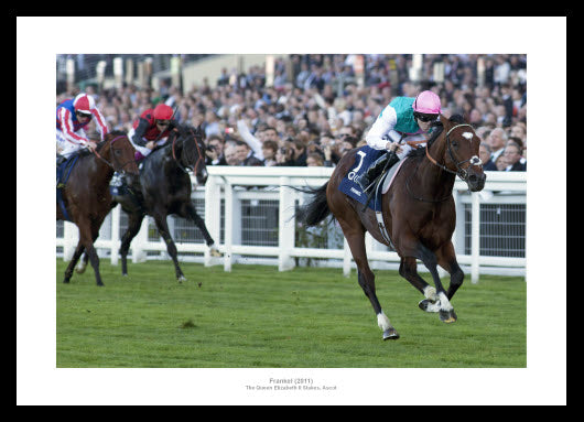 Frankel 2011 Queen Elizabeth II Stakes Photo Memorabilia