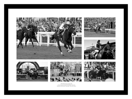 Legends of Flat Horse Racing Photo Memorabilia
