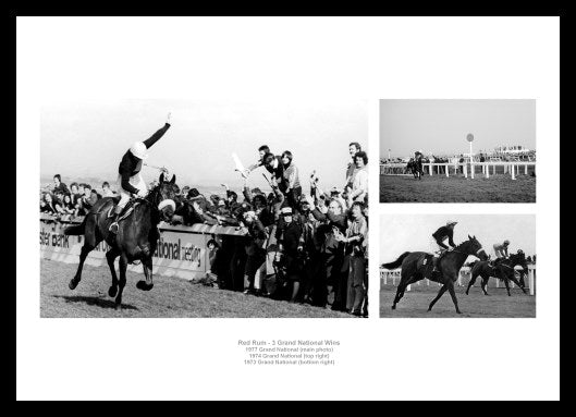 Red Rum Horse Racing Legend Photo Memorabilia