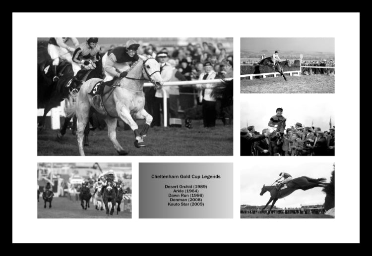 cheltenham gold cup horse racing legends