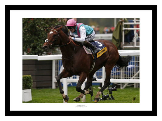 Frankel 2012 Ascot Horse Racing Photo