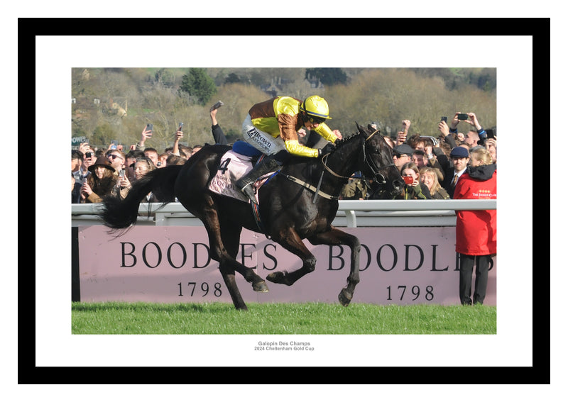 Galopin Des Champs 2024 Cheltenham Gold Cup Photo Memorabilia