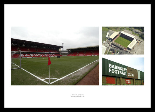 Barnsley FC Oakwell Stadium Photo Memorabilia