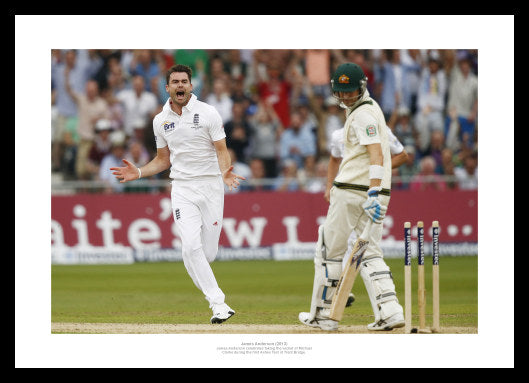 England 2013 Ashes Series James Anderson Celebrates Photo Memorabilia