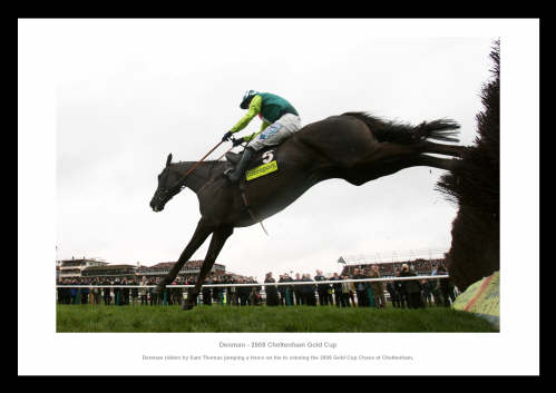 Denman 2008 Cheltenham Gold Cup Photo Memorabilia