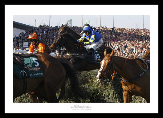 Auroras Encore 2013 Grand National Photo Memorabilia