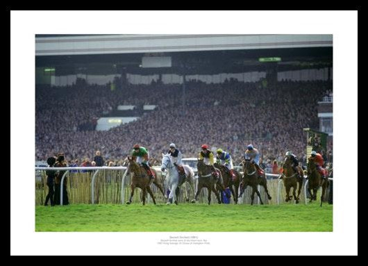 Desert Orchid Last Race in 1991 Photo Memorabilia