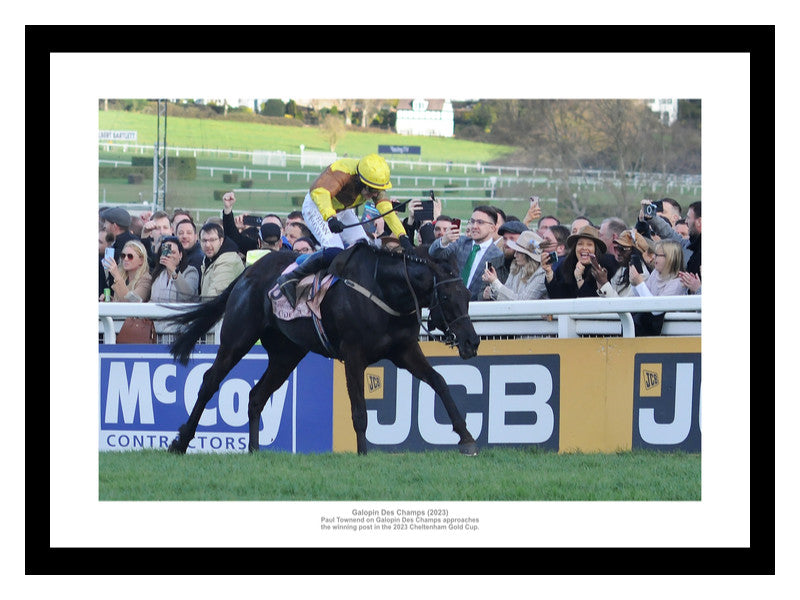 Galopin Des Champs 2023 Cheltenham Gold Cup Photo Memorabilia