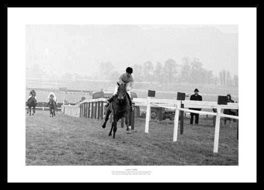 Arkle 1966 Cheltenham Gold Cup Photo Memorabilia