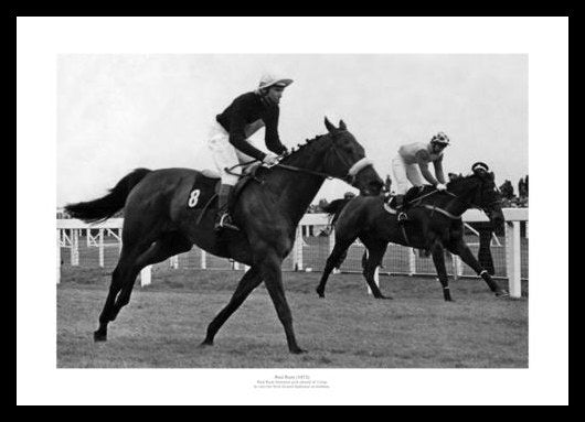 Red Rum First Grand National Win in 1973 Photo Memorabilia