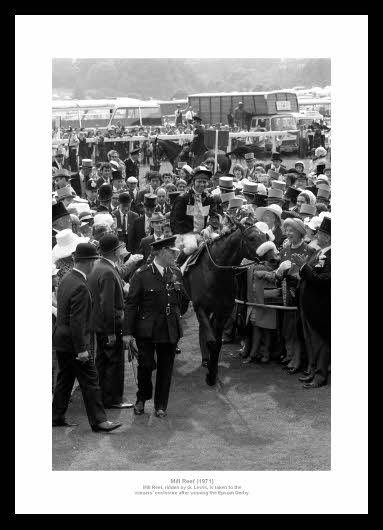 Mill Reef 1971 Epsom Derby Horse Racing Photo Memorabilia