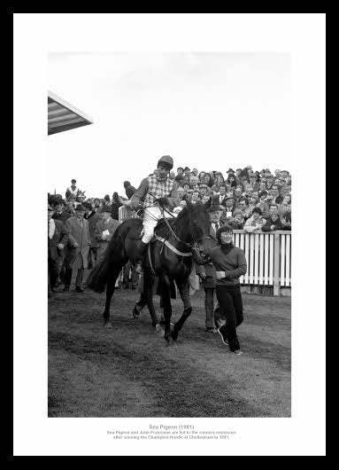 Sea Pigeon 1981 Cheltenham Champion Hurdle Photo Memorabilia