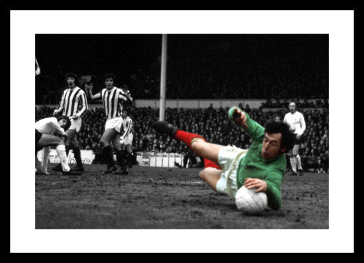 Stoke City Gordon Banks Legend Spot Colour Photo Memorabilia