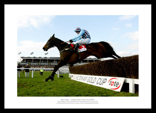 Best Mate 2003 Cheltenham Gold Cup Horse Racing Photo Memorabilia